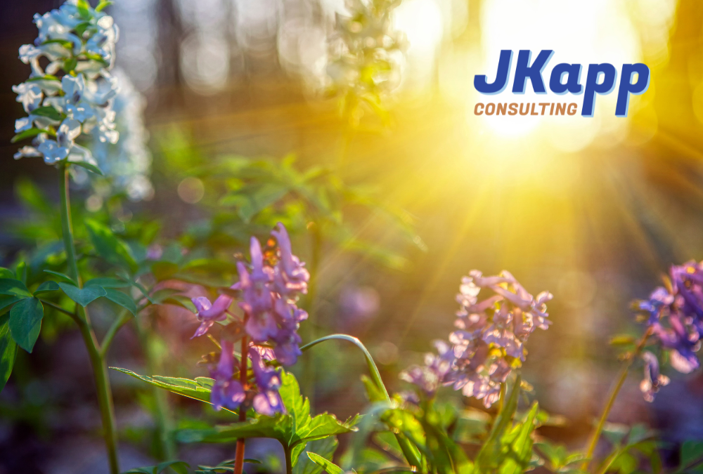 How Nature Supports Your Health